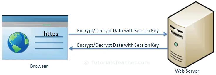 SSL Data Transfer